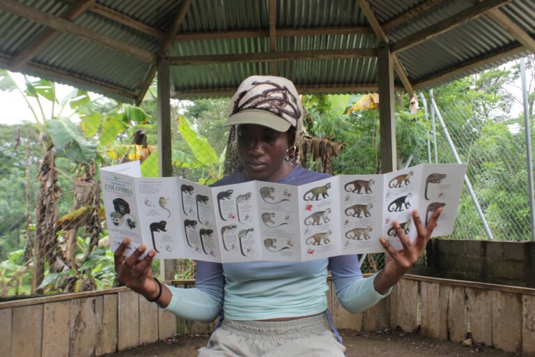 Copia de IMG 9453 768x512