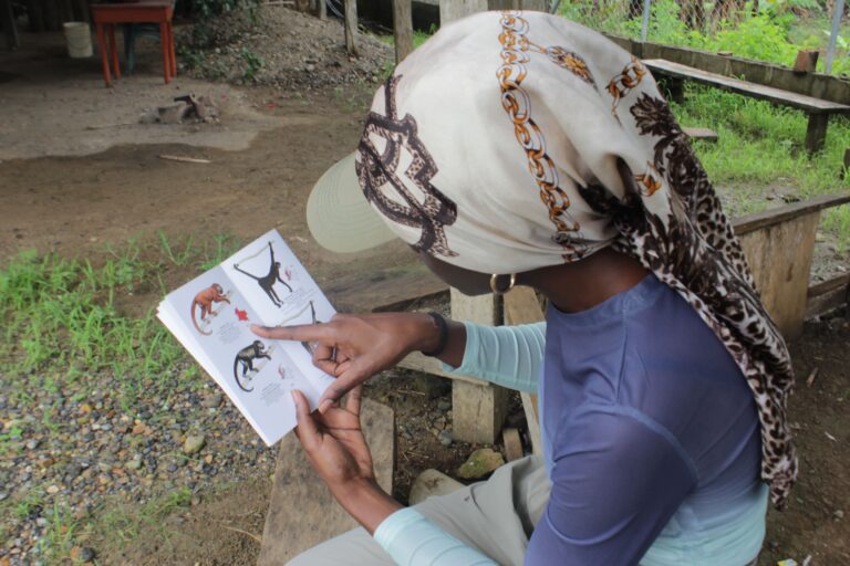 Copia de IMG 9454 768x512