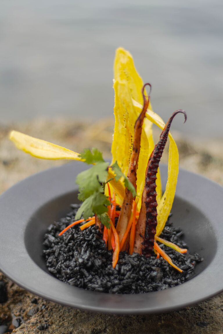 14092025 DSC09212 768x1152