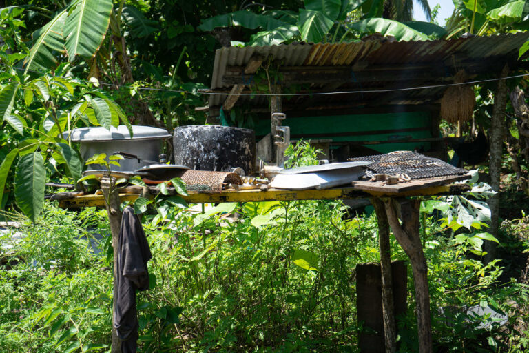 14092025fotografia sin titulo DSC09943 768x512