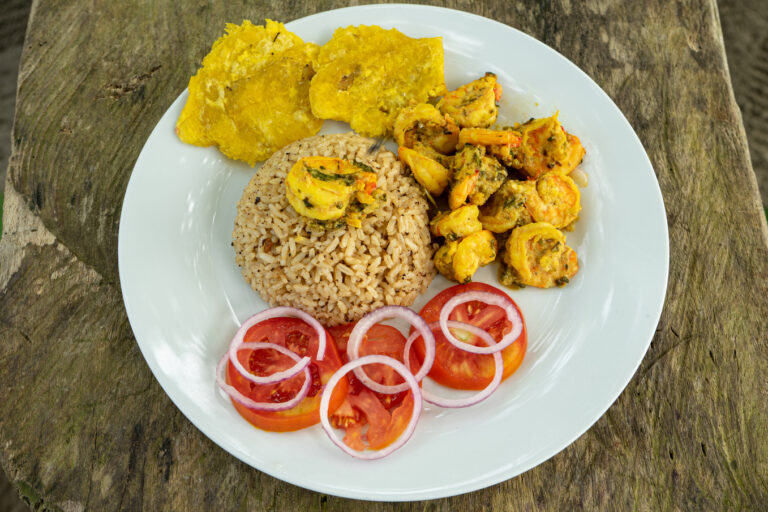 17092025fotografia sin titulo DSC00916 768x512