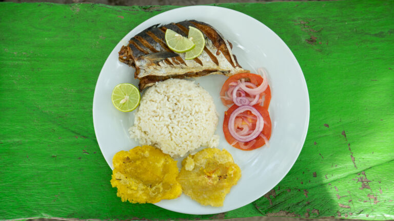 17092025fotografia sin titulo DSC00950 768x432