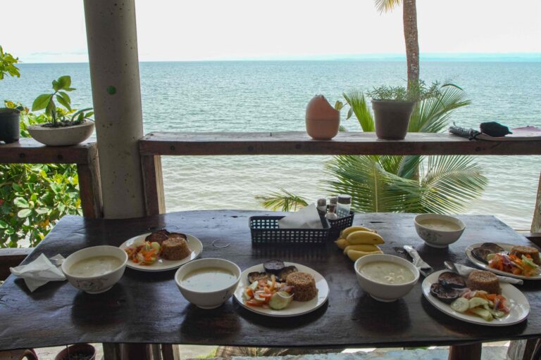 DSC09041 compressed 768x512