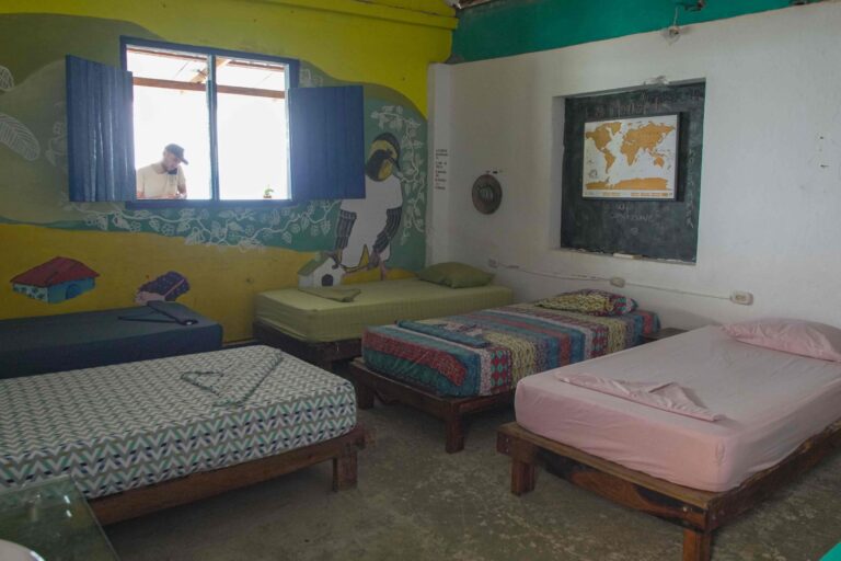 DSC09047 compressed 768x512