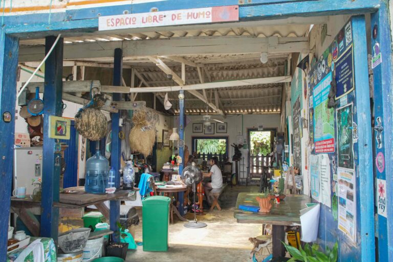 DSC09049 compressed 768x512