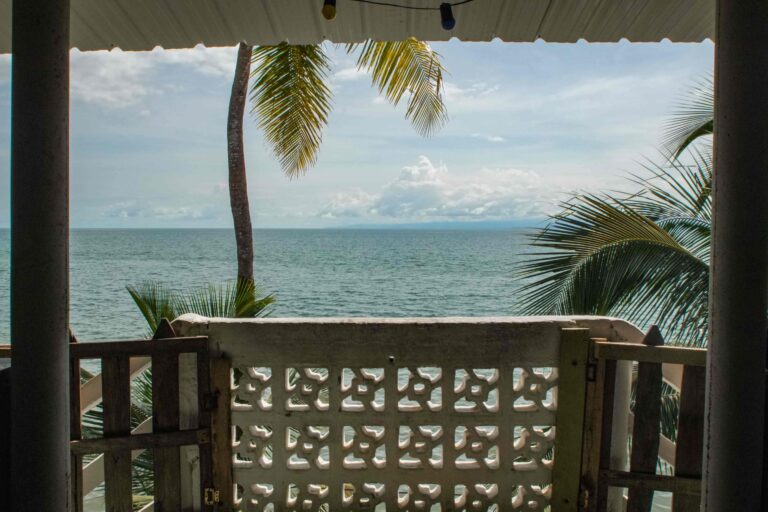 DSC09063 compressed 768x512